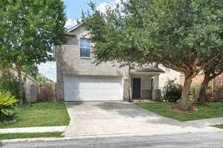 911 CANADIAN GOOSE, San Antonio, TX 78245