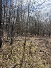 On Nature Trl, Townsend, WI 54175