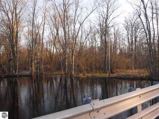 Cadillac Rd, Falmouth, MI 49632