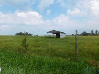 124 Fm, Beckville, TX 75631