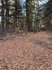 River Trl, Placerville, CO 81430
