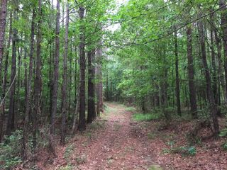 Terry Ln   SE, Ruth, MS 39662