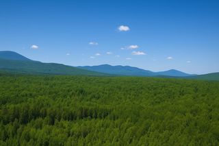 0 Mud Pond Road, Milan, NH 03588