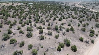 Omega Rd #24, Quemado, NM 87829