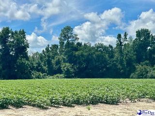 2909 Bell Rd, Mullins, SC 29574