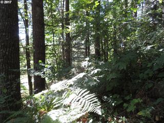 US Highway 12, Randle, WA 98377