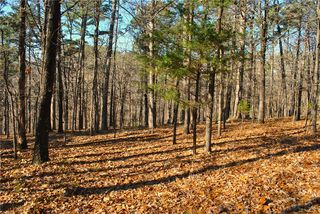 3.1 Railroad Cut Rd, Rogers, AR 72756
