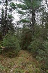 Lt 0 BARKER ROAD, Amberg, WI 54102