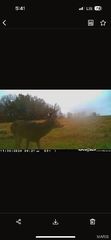 Robin Rd, Bellflower, MO 63333