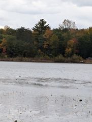 W  Cedar Lake Rd, Greenbush, MI 48738