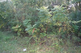 Mango St #7, New Pt Richey, FL 34654