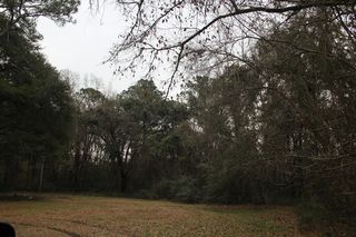 Lieben Rd, Mount Pleasant, SC 29466