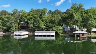17 Pine Island Point, Scottsboro, AL 35769