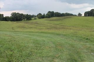 Tract 10 Limestone Dr, Meadowview, VA 24361