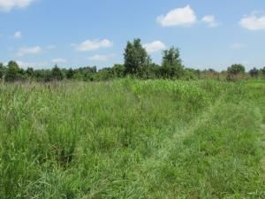 7th Hwy #1, Jasper, AR 72641