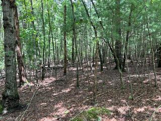 390 Sylvan Rd, Thurmond, NC 28683