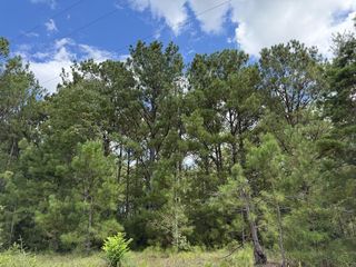 34125 Lloyd Mill Rd, Red Level, AL 36474
