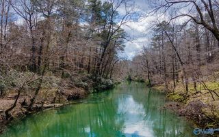 Lot 19 River Ln, Mentone, AL 35984