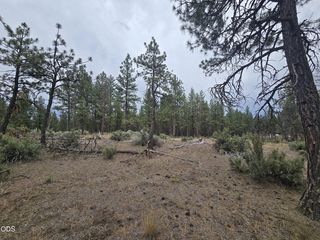 Elde St #24, Chiloquin, OR 97624