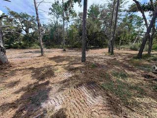 15724 Reed Dr, Perry, FL 32348
