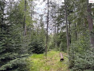 9775 Bottle Bay Rd, Sagle, ID 83860