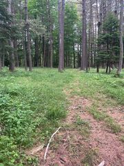 132 Badger Road, Goshen, NH 03752