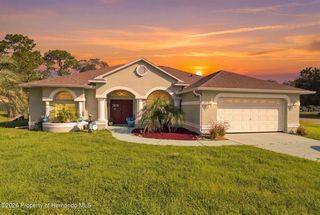 13476 Little Farms Dr, Spring Hill, FL 34609
