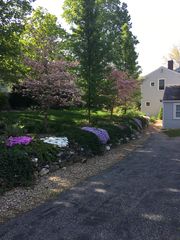 Spring in backyard (looking from parking lot on Auburn St)