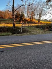 Tbd Reedy Creek Rd, Bristol, VA 24202
