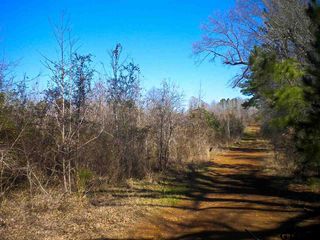 1143 County Rd, Daingerfield, TX 75638