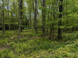 Lots 175 & 176 Laurel Cir, Terra Alta, WV 26764