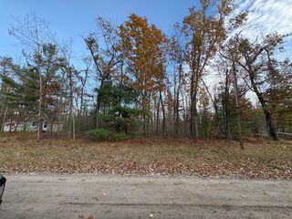 Lot 60 Francis Ave, Hillman, MI 49746