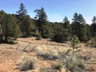 Address Not Disclosed, Cotopaxi, CO 81223