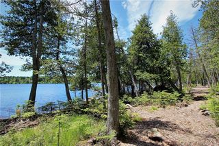 0 Dodge Pond Road, Rangeley, ME 04970