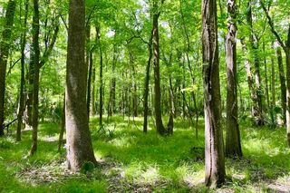 5 Highway 74 St, Saint Gabriel, LA 70776