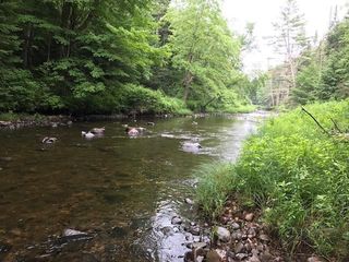 192 Pingree Park Lane, Londonderry, VT 05148