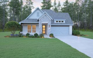 161 Peninsula Point Dr, Montgomery, TX 77356