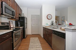 871 Ibis Walk Pl   N #215, Saint Petersburg, FL 33716