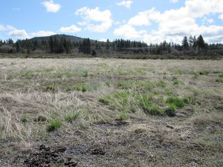 Cattle Dr #883876, Chiloquin, OR 97624