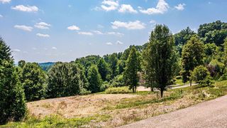 113 Iris Ln, Morgantown, WV 26501
