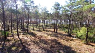 130 Shell Bay Ct, Carrabelle, FL 32322