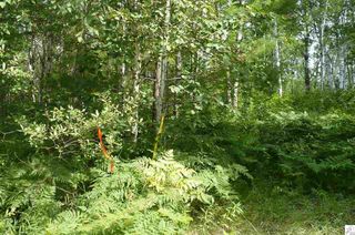 Xxx Waletzko Rd, Willow River, MN 55795