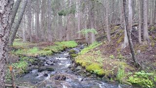 1850 Truman Creek Rd, Kila, MT 59920