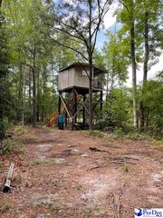 Twin Church Rd, Timmonsville, SC 29161