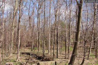 16SL Colburn Rd, Painesville, OH 44077