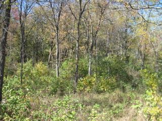47th Ave, Paw Paw, MI 49079