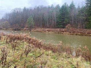 4236 Blouvet Rd, Friendship, NY 14739