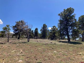Lot 14 62X Road, Placerville, CO 81430
