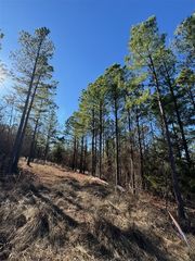 85 Timber Holler Trail, Broken Bow, OK 74728