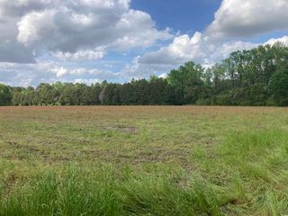 TBD Bay Rd., Pamplico, SC 29583
